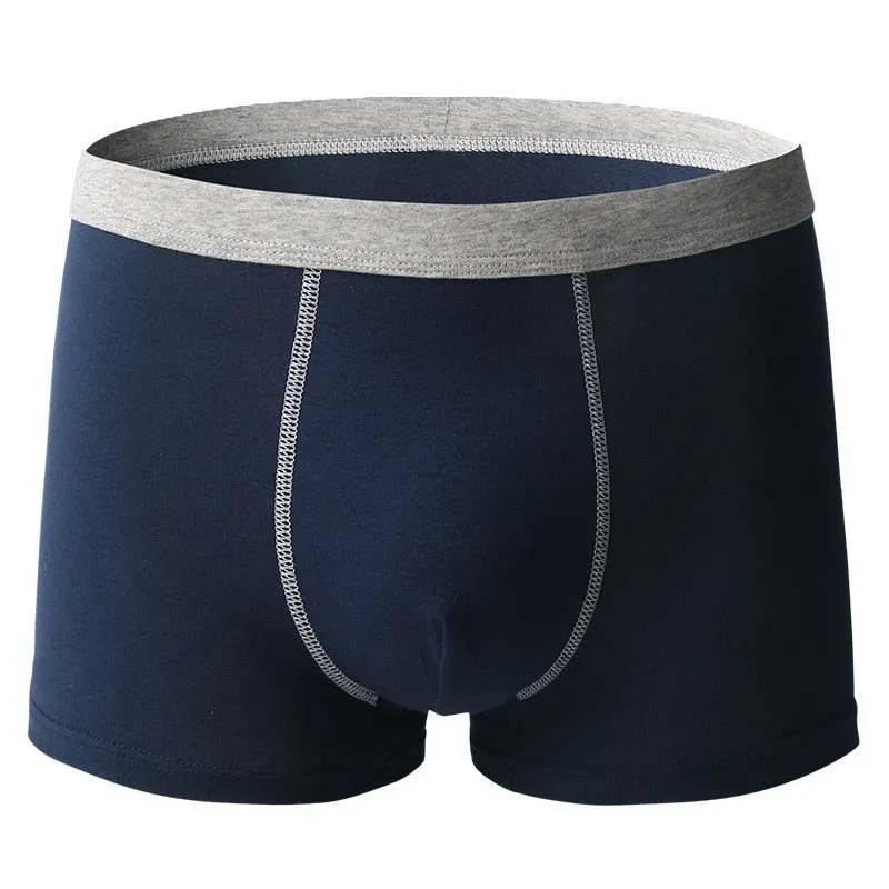 Underwear Cotton Boxer Shorts