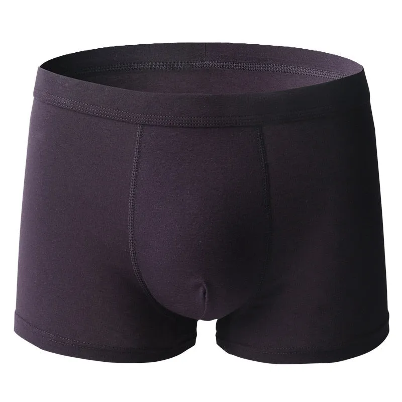 Underwear Cotton Boxer Shorts