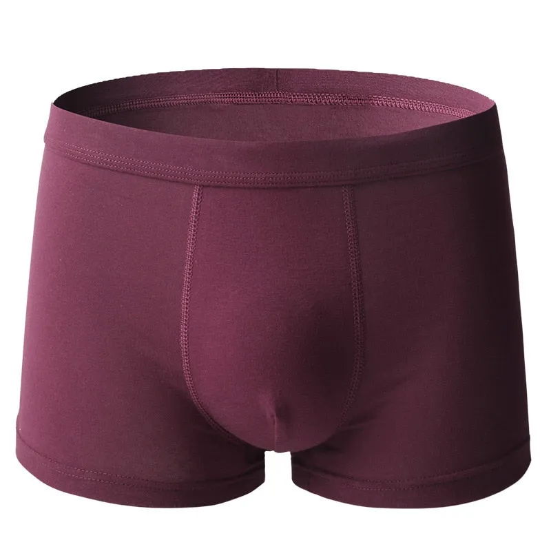 Underwear Cotton Boxer Shorts