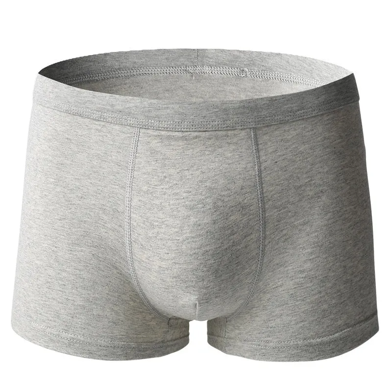 Underwear Cotton Boxer Shorts